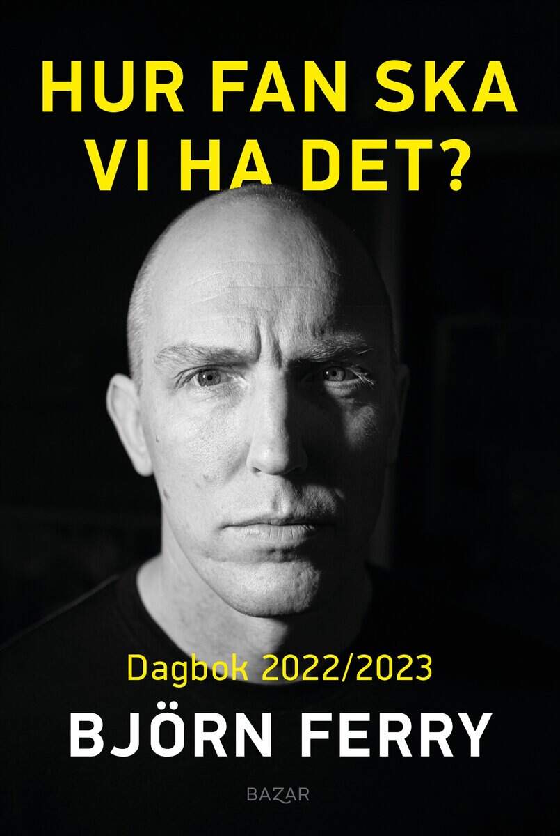 Ferry, Björn | Hur fan ska vi ha det? : Dagbok 2022/2023
