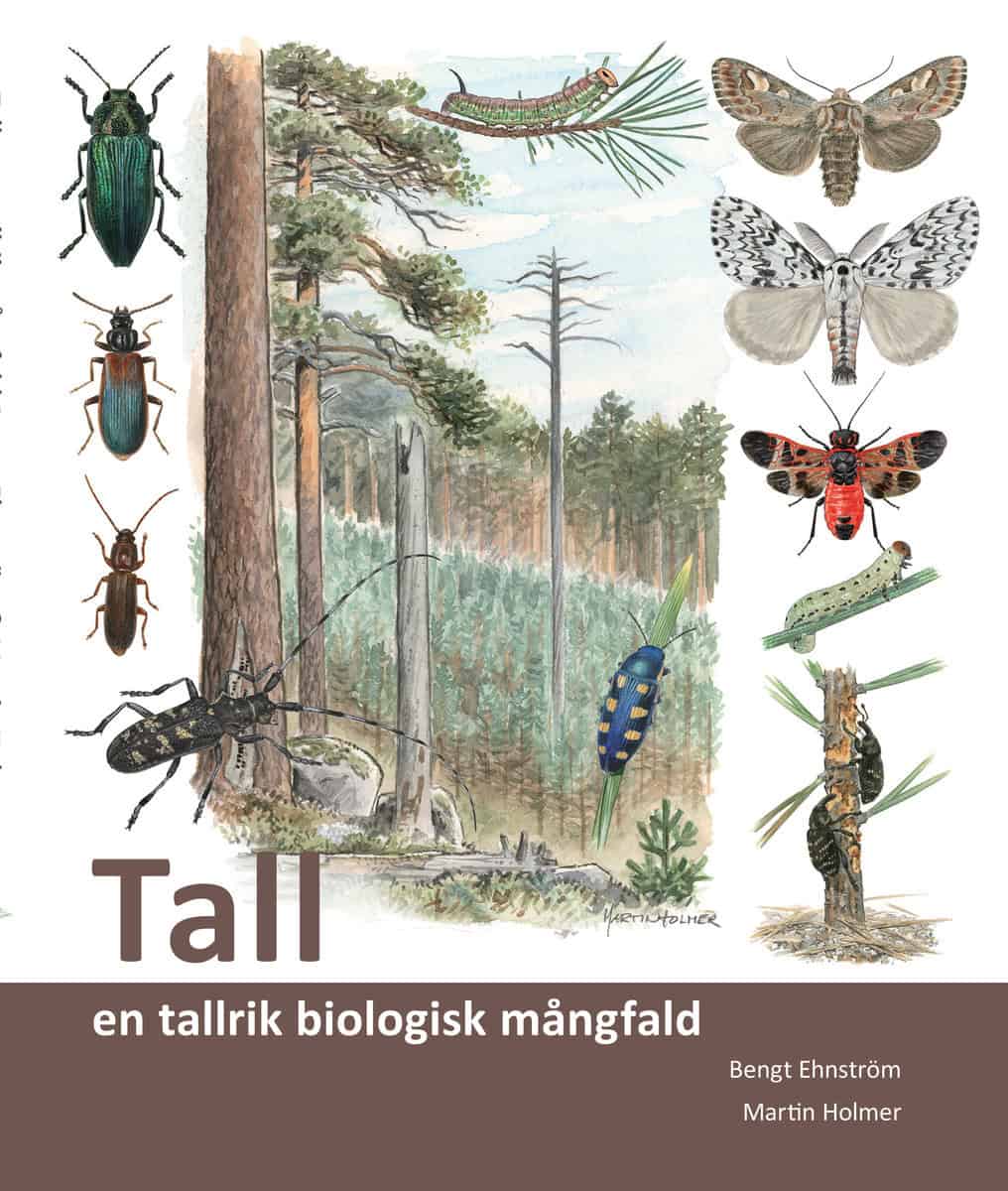 Ehnström, Bengt | Tall : En tallrik biologisk mångfald