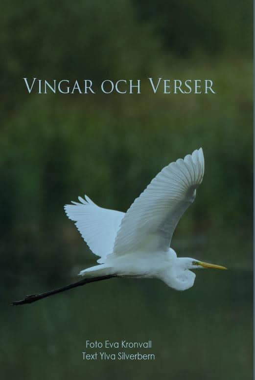 Silverbern, Ylva | Vingar och verser