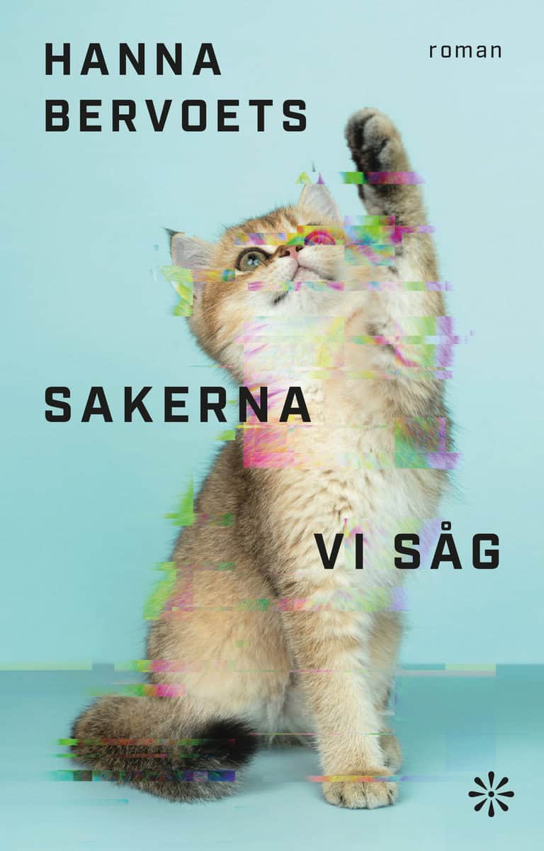 Bervoets, Hanna | Sakerna vi såg