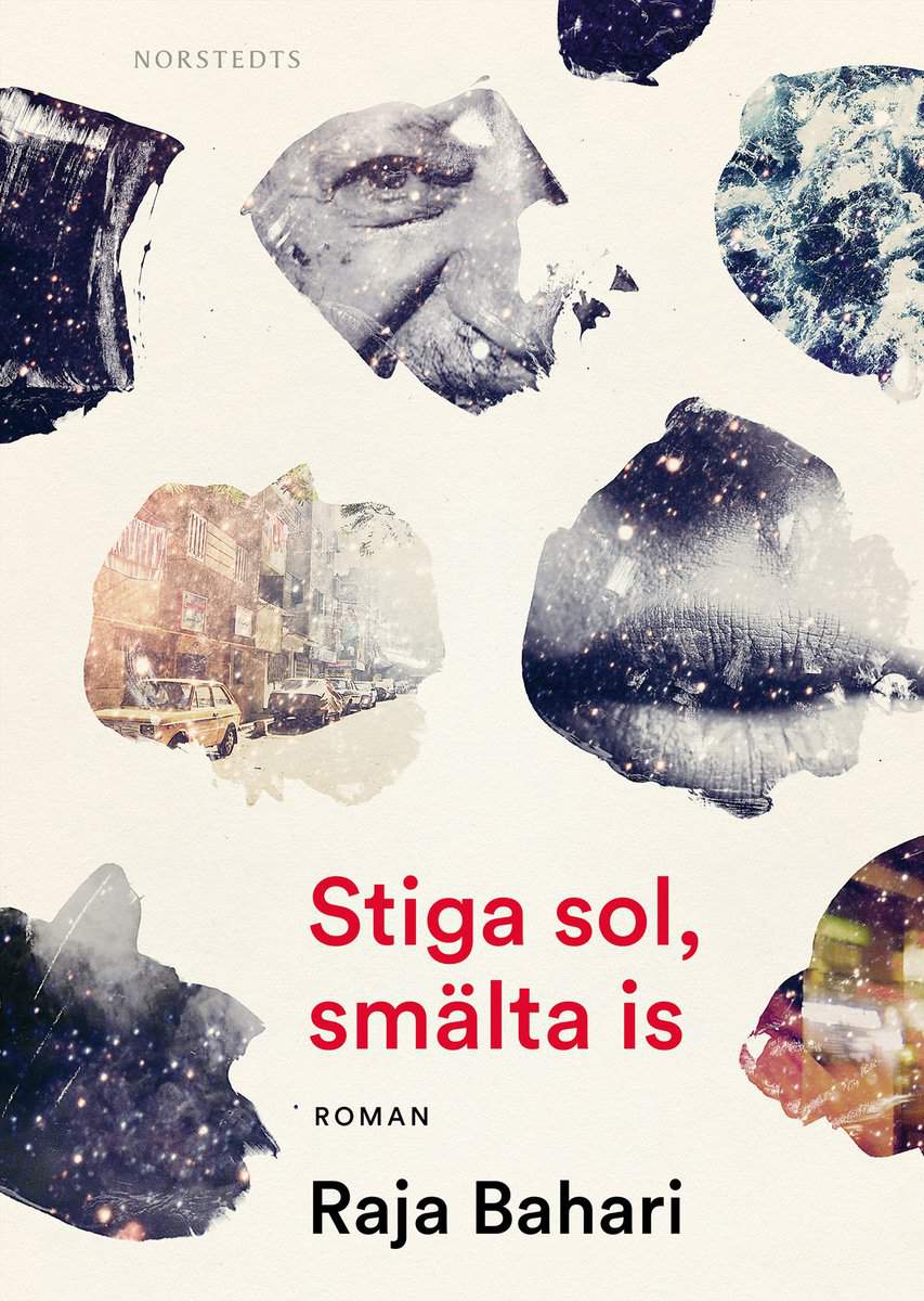 Bahari, Raja | Stiga sol, smälta is
