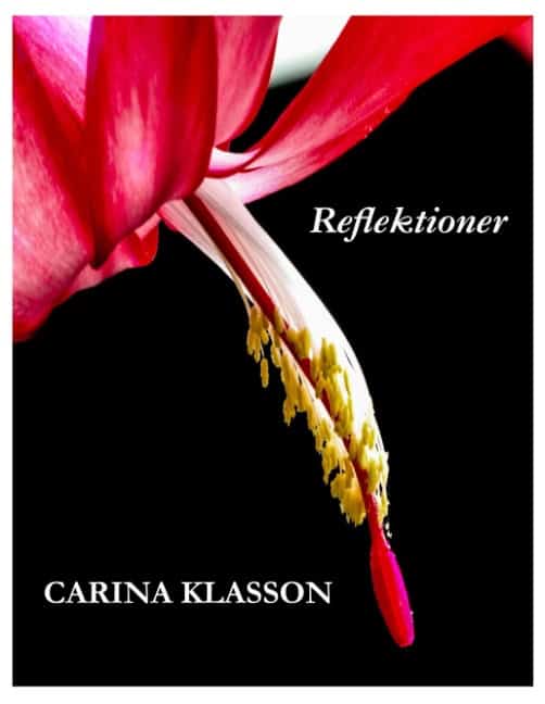 Klasson, Carina | Reflektioner