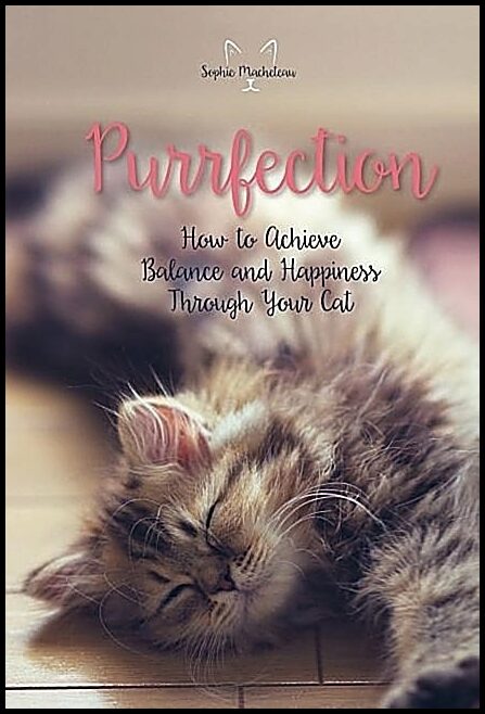 Sophie Macheteau | Purrfection