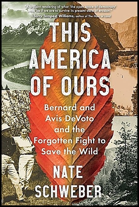 Schweber, Nate | This America of Ours