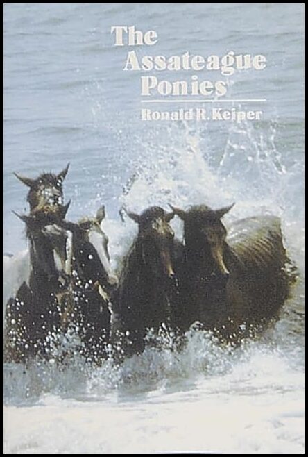 Ronald R. Keiper | The Assateague Ponies