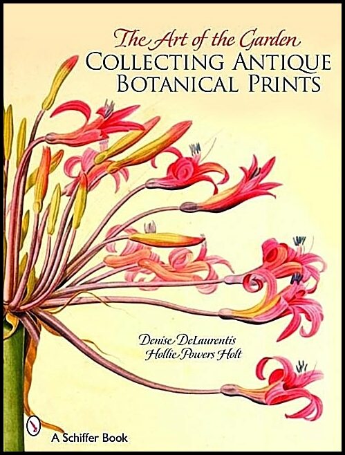 Denise DeLaurentis | The Art Of The Garden : Collecting Antique Botanical Prints