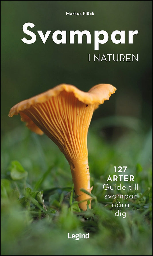 Flück, Markus | Svampar i naturen : 127 arter - guide till svampar nära dig