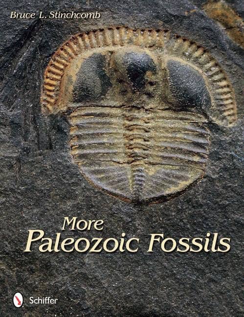 Bruce L. Stinchcomb | More Paleozoic Fossils