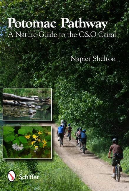 Napier Shelton | Potomac Pathway : A Nature Guide to the C & O Canal