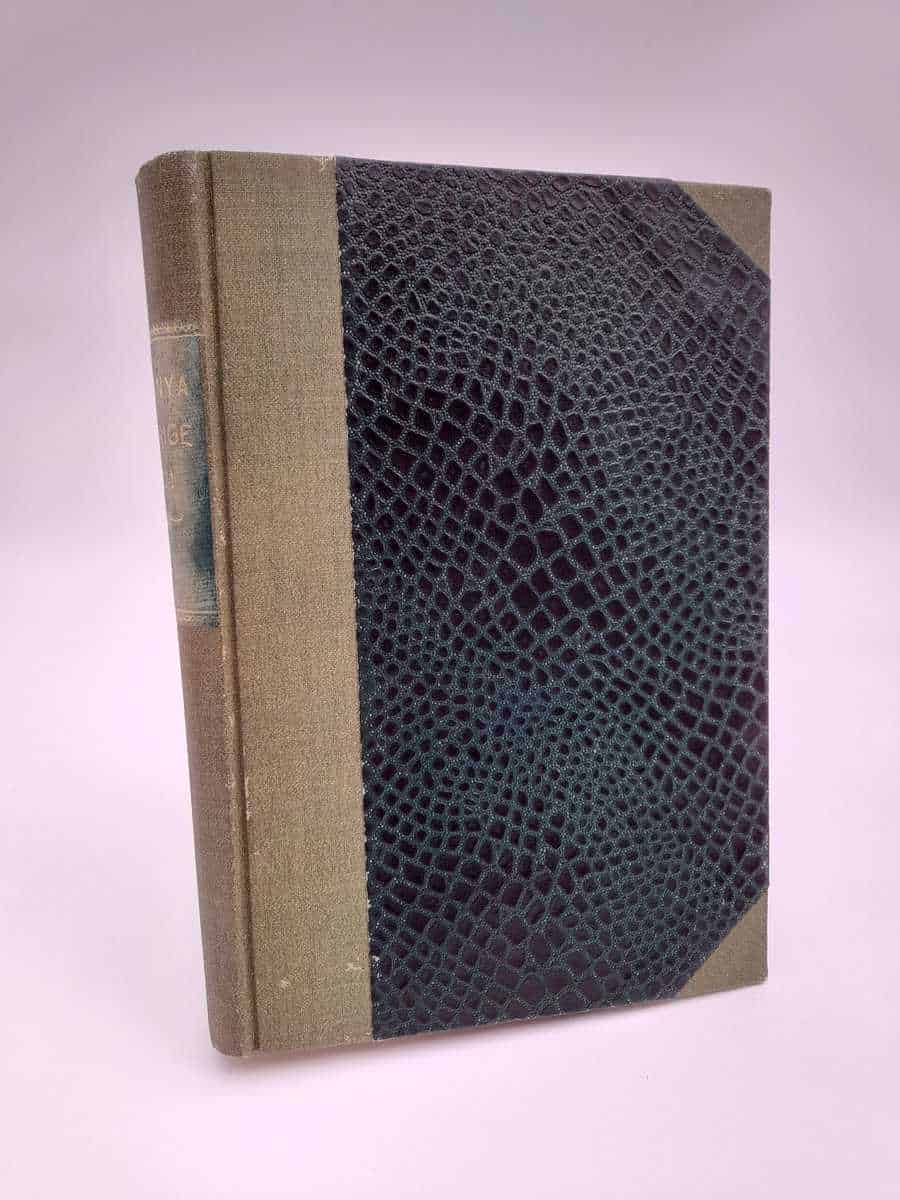 Det nya Sverige | 1921