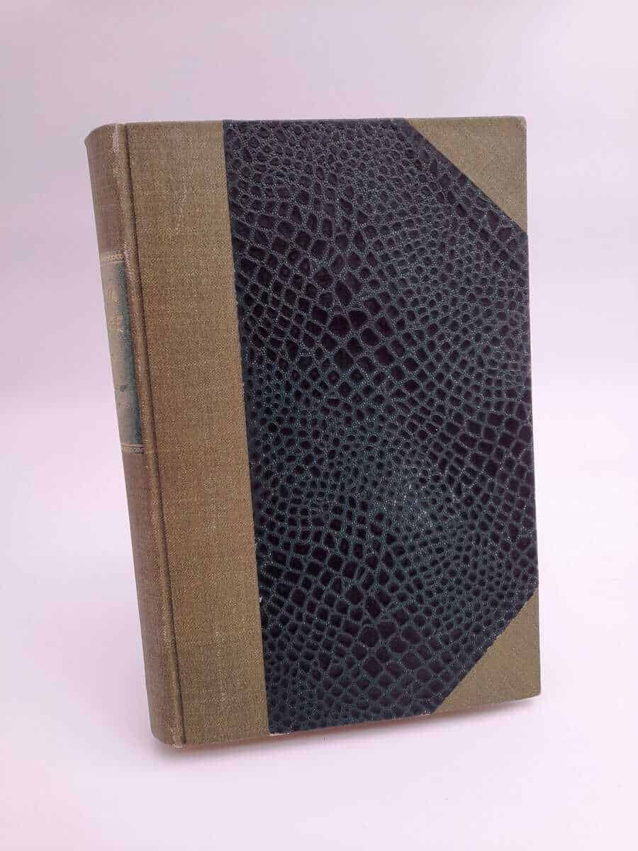 Det nya Sverige | 1923