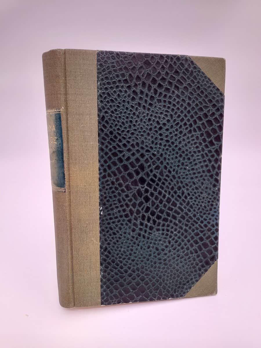 Det nya Sverige | 1920