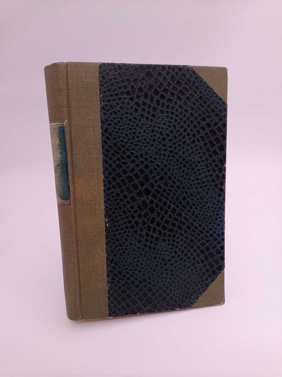 Det nya Sverige | 1917