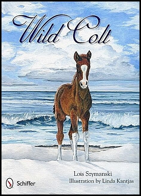 Lois Szymanski | Wild Colt