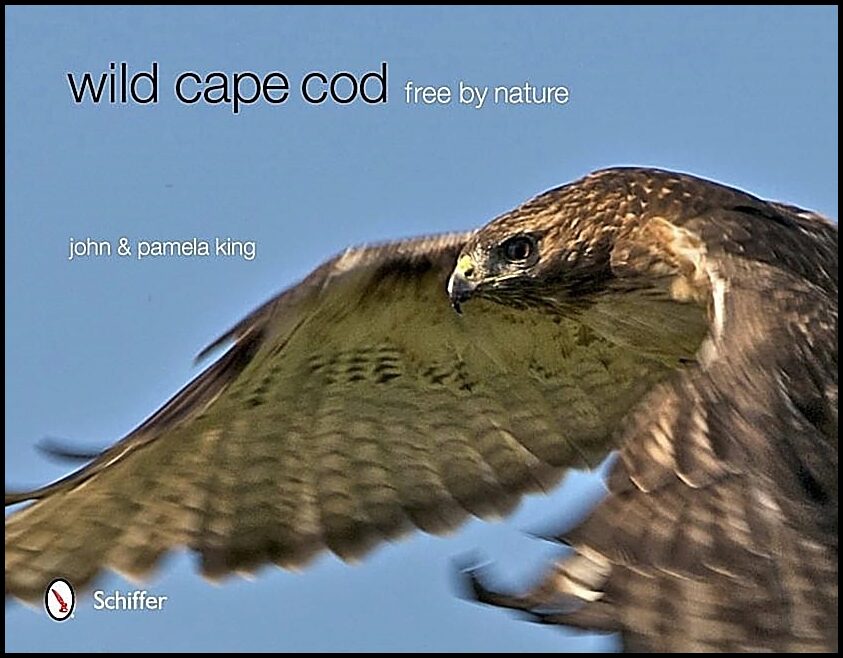 King, Pamela | Wild cape cod : Free by nature