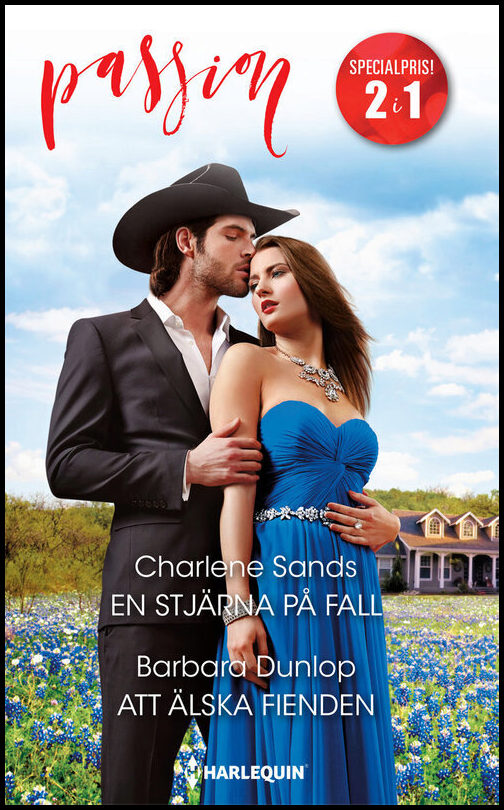 Dunlop, Barbara| Sands , Charlene | En stjärna på fall | Att älska fienden