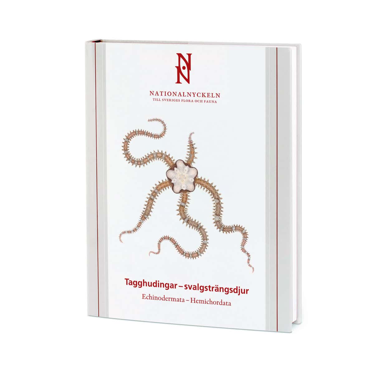 Hansson, Hans G. | Cedhagen, Tomas | Strand, Malin | Tagghudingar : Svalgsträngsdjur. Echinodermata - hemichordata