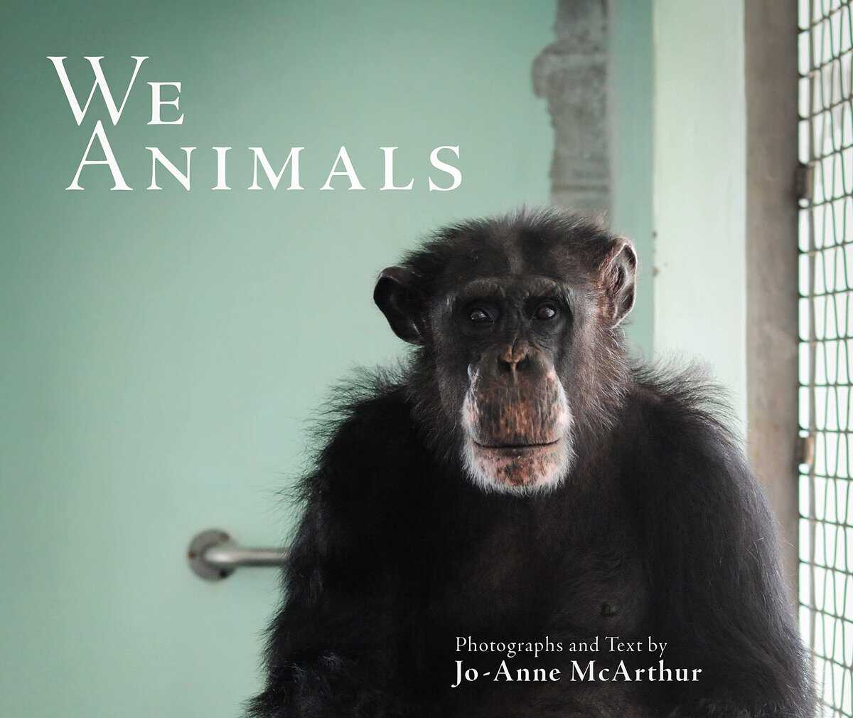 Jo-Anne McArthur | We Animals (Revised Edition)