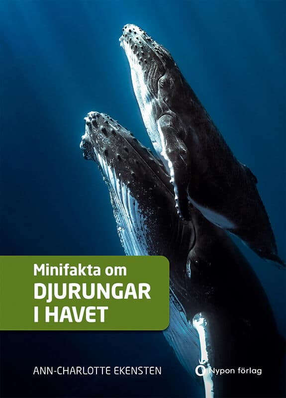 Ekensten, Ann-Charlotte | Minifakta om djurungar i havet