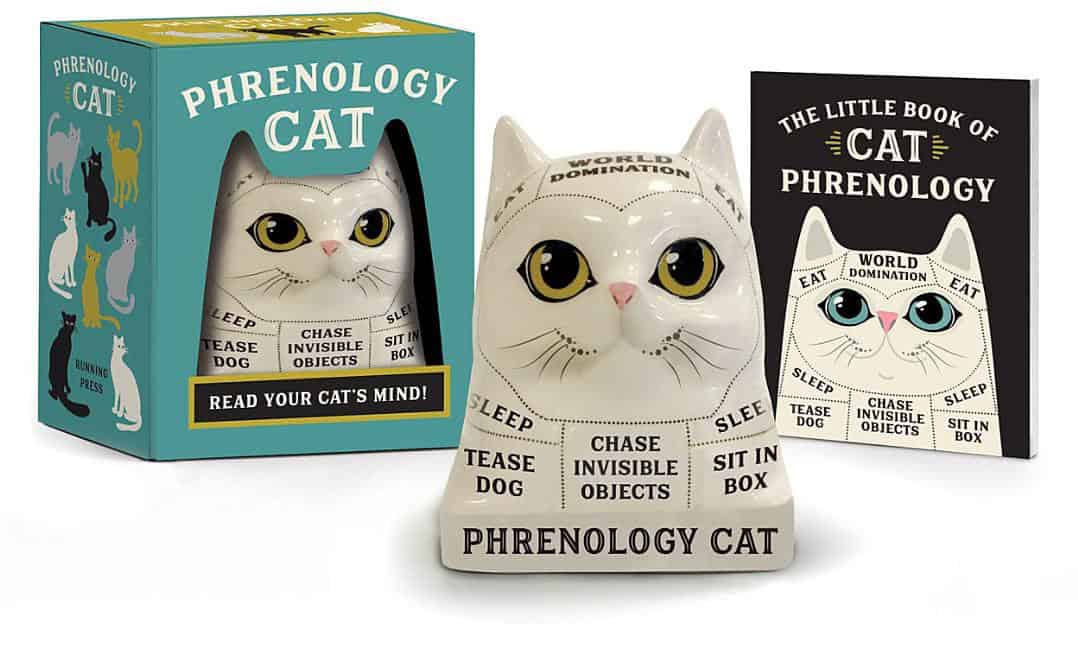 Marlo Scrimizzi | Phrenology Cat