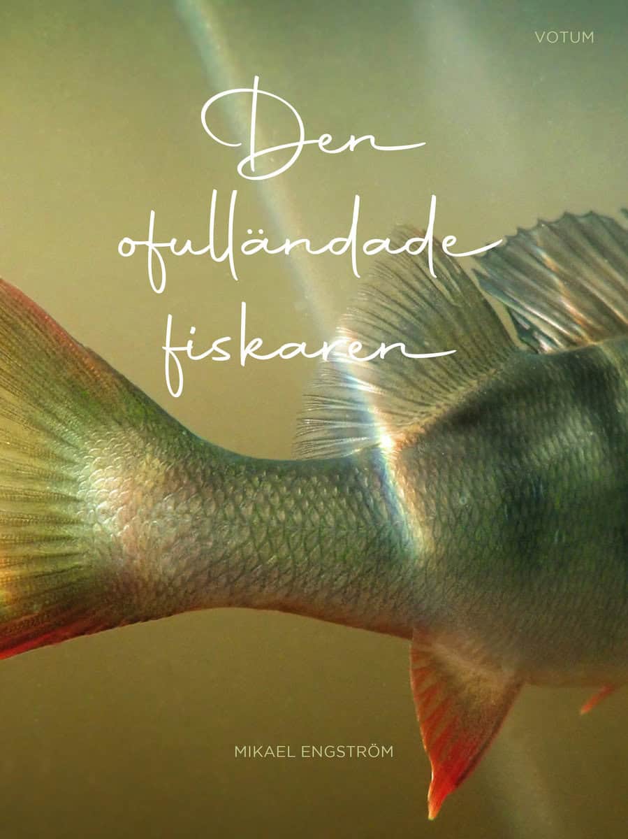 Engström, Mikael | Den ofulländade fiskaren