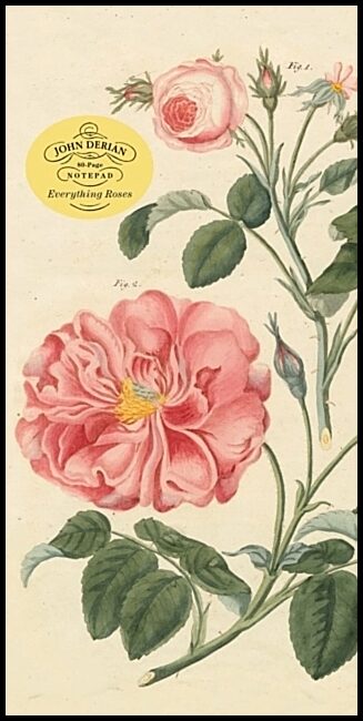 Derian, John | John Derian Paper Goods : Everything Roses Notepad