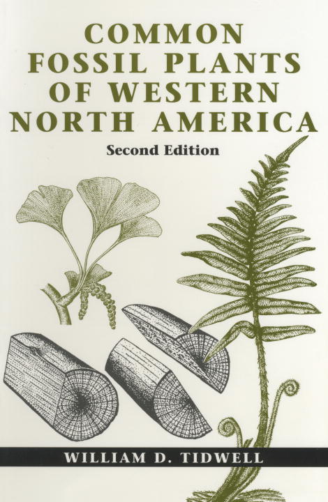 William D. Tidwell | Common Fossil Plants Of Western North America : 2nd Edition