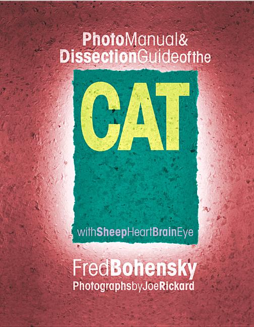 Fred Bohensky | Cat