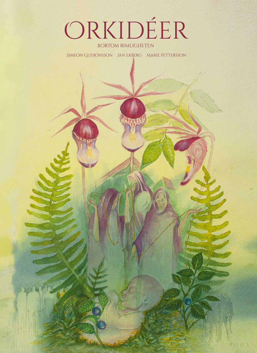 Gudjonsson, Simeon | Orkidéer : Bortom rimligheten