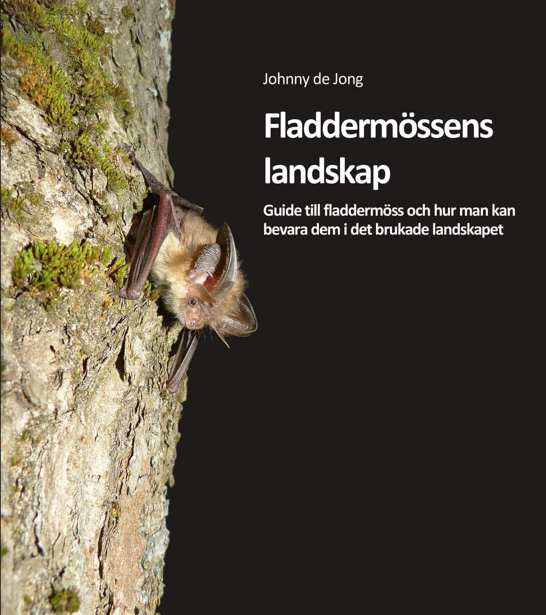 de Jong, Johnny | Fladdermössens landskap
