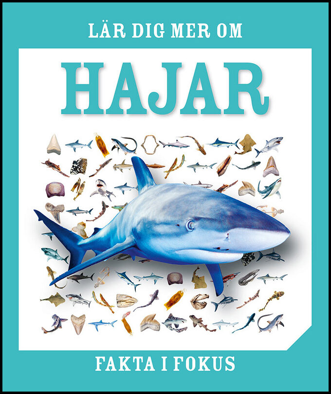Lär dig mer om hajar