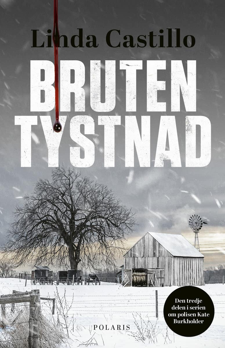 Castillo, Linda | Bruten tystnad