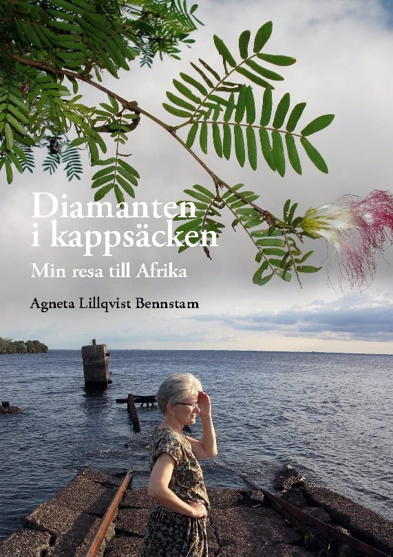 Lillqvist Bennstam, Agneta | Diamanten i kappsäcken : Min resa till Afrika