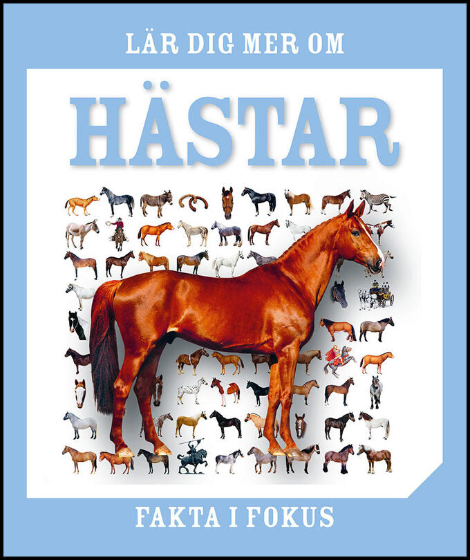 Lär dig mer om hästar