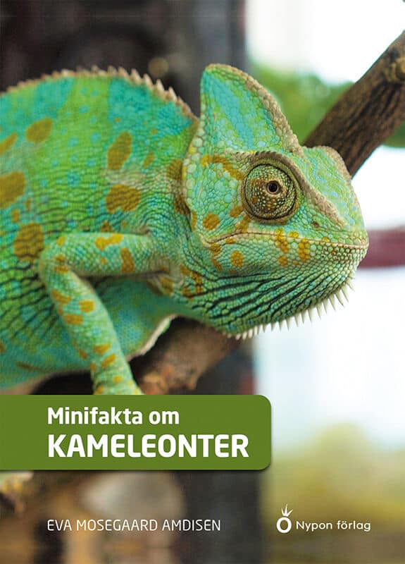 Mosegaard Amdisen, Eva | Minifakta om kameleonter