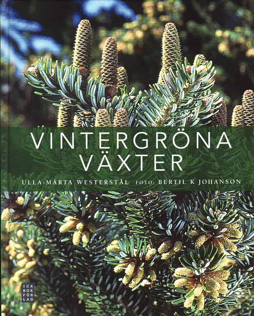 Westerstål, Ulla-Märta | Johanson, Bertil K. | Vintergröna växter