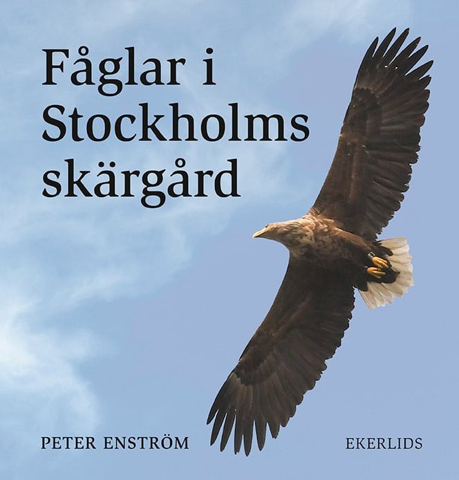 Enström, Peter | Fåglar i Stockholms skärgård