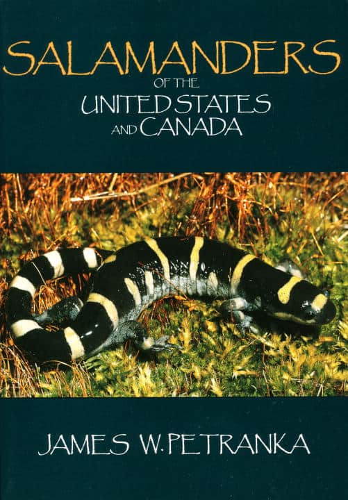 James Petranka | Salamanders Of The United States And Canada