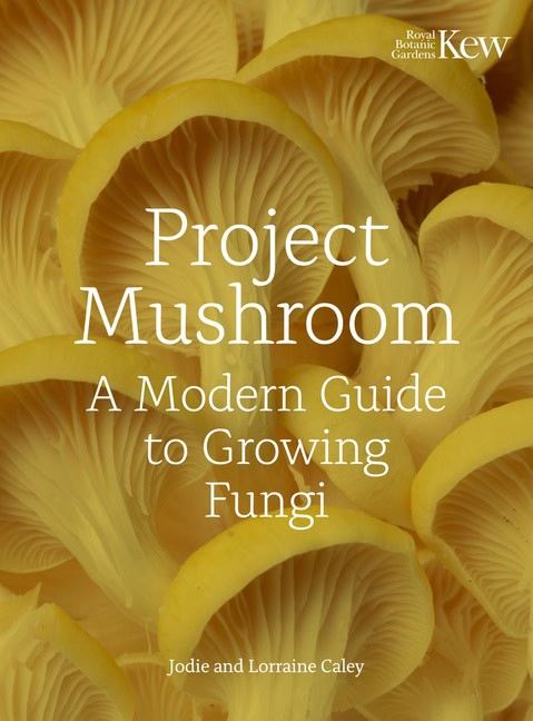 Lorraine Mary Caley | Project Mushroom : Value, object or array expected.* Line 1, Column 2 Extra non-whitespace after ...