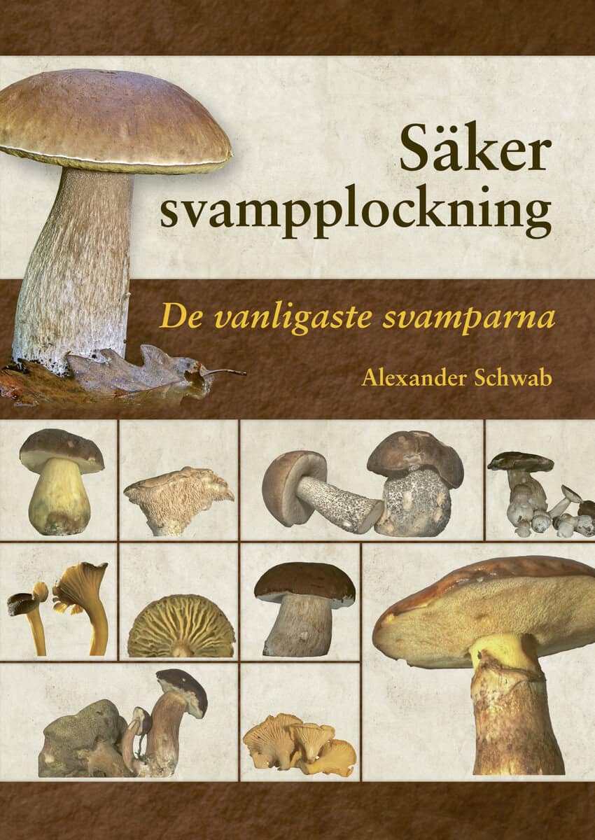 Schwab, Alexander | Säker svampplockning : De vanligaste svamparna
