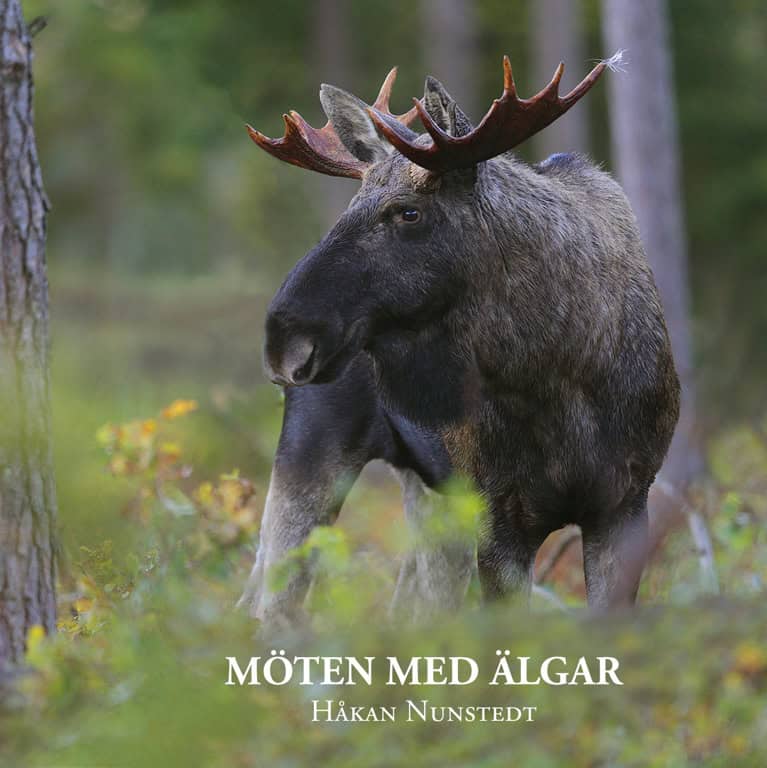 Nunstedt, Håkan | Möten med älgar-10 pack