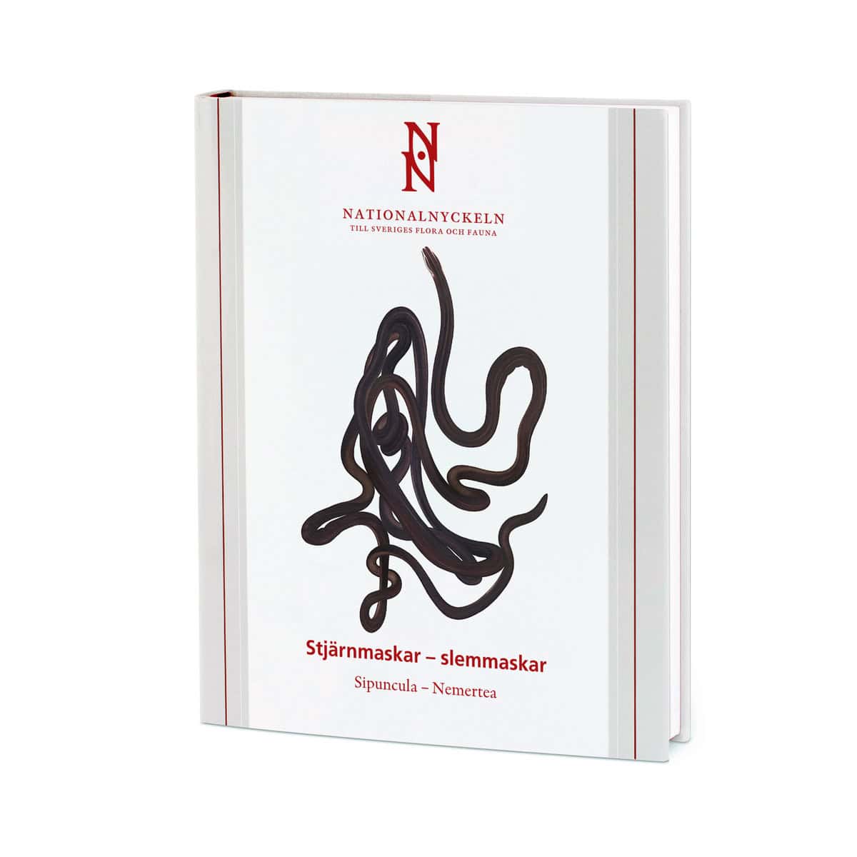 Strand, Malin | Sundberg, Per | Stjärnmaskar : Slemmaskar. Sipuncula - Nemertea