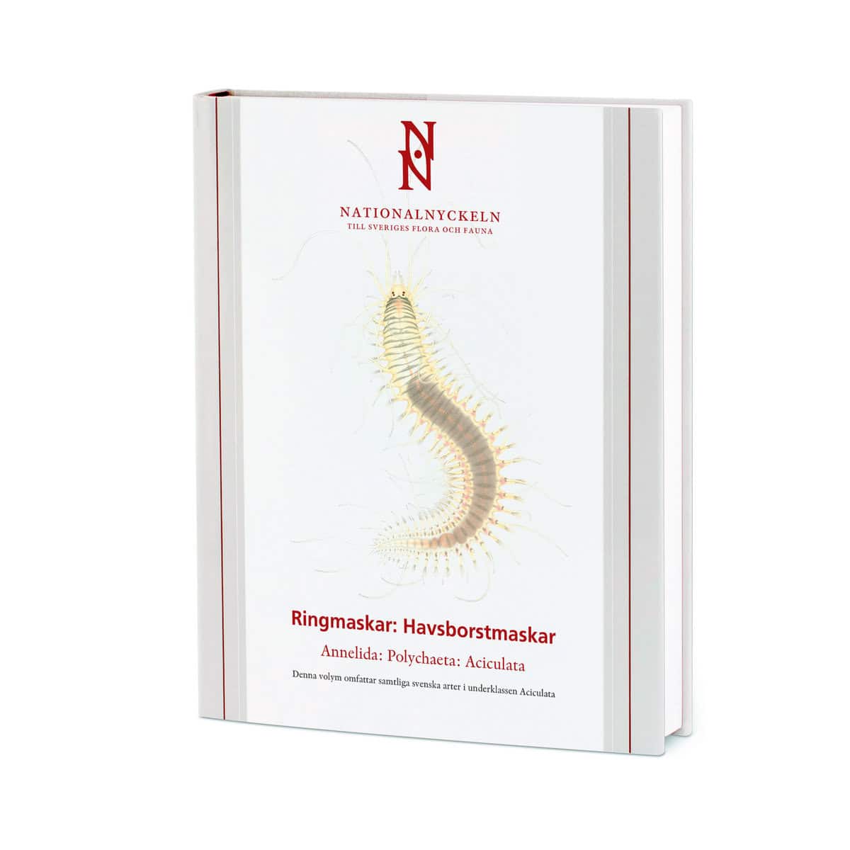 Nygren, Arne | Pleijel, Fredrik | Ringmaskar : Havsborstmaskar. Annelida : polychaeta: aciculata