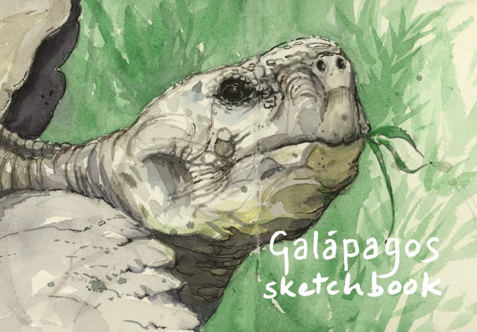 David Pollock | A Galápagos Sketchbook