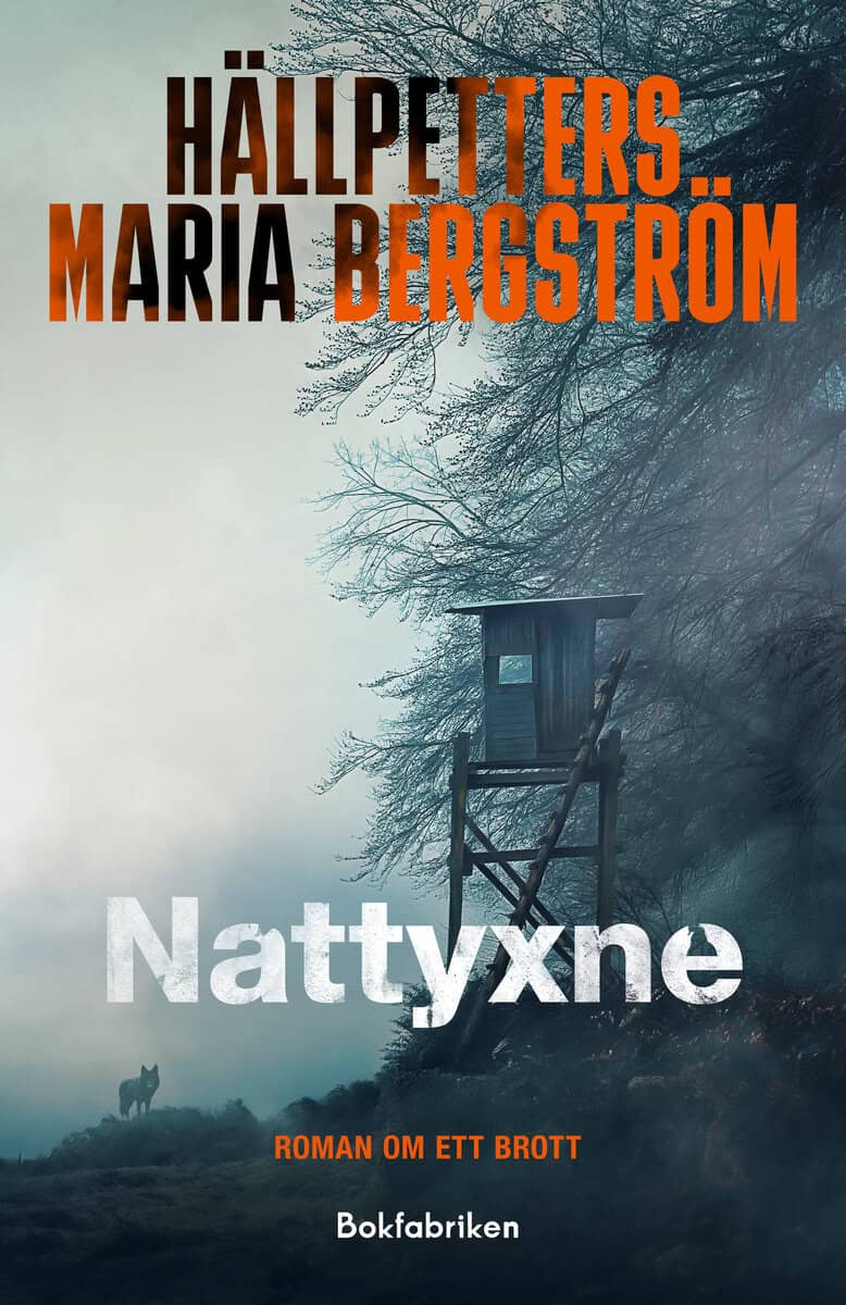 Bergström, Hällpetters Maria | Nattyxne