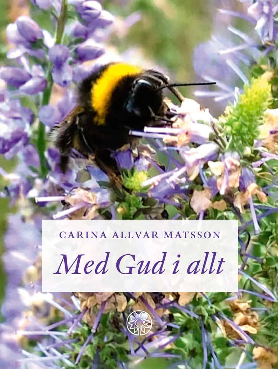 Allvar Matsson, Carina | Med Gud i allt