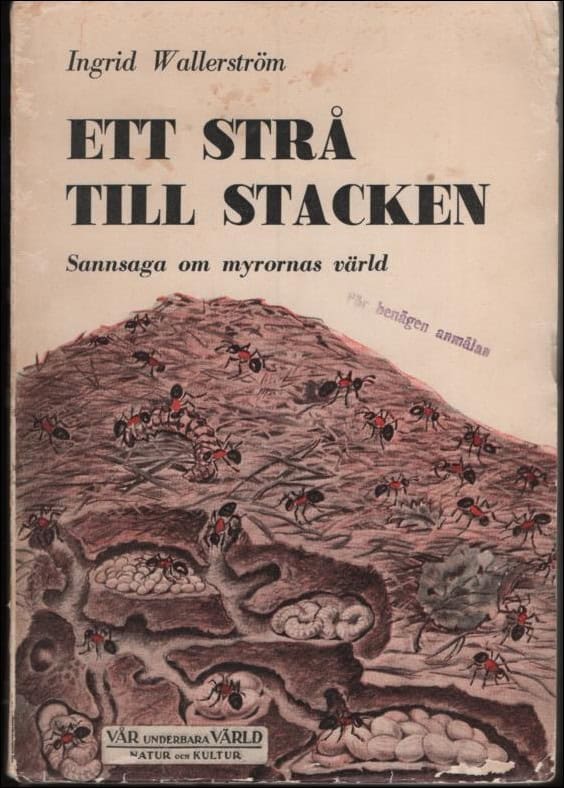 Wallerström, Ingrid | Ett strå till stacken. Sannsaga om myrornas värld
