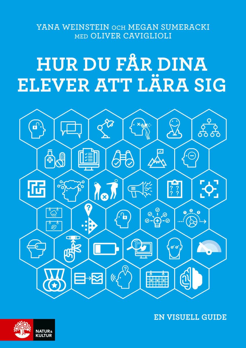 Weinstein, Yana | Sumeracki, Megan | Caviglioli, Oliver | Hur du får dina elever att lära sig : En visuell guide