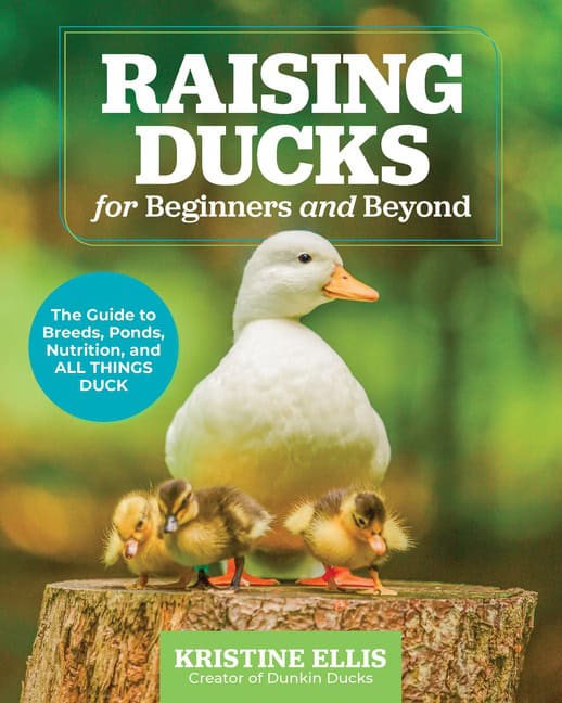 Kristine Ellis | Raising Ducks for Beginners and Beyond