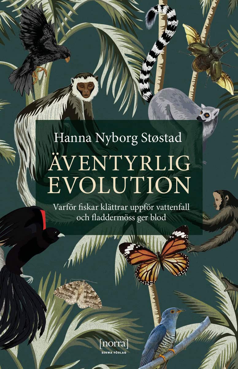 Nyborg Støstad, Hanna | Äventyrlig evolution : Varför fiskar klättrar uppför vattenfall och fladdermöss ger blod